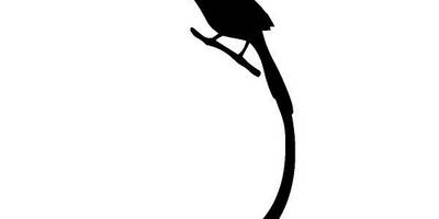 Животные 2285