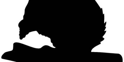 Животные 333