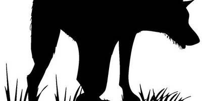 Животные 652