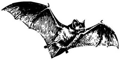 Животные 788