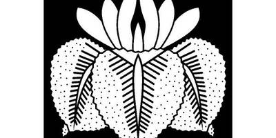 Японский узор 1444