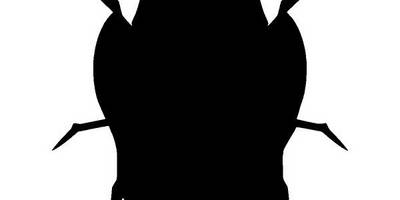 Животные 3063