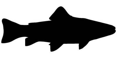 Животные рыба 675