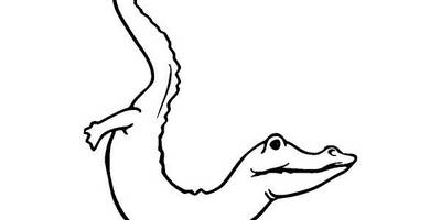 Животные 2836