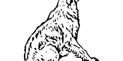 Животные 475