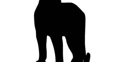 Животные 541