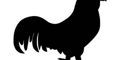 Животные 1220