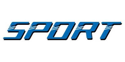 Виниловая наклейка на авто 53