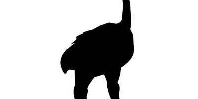 Животные 348