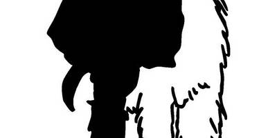 Животные 349