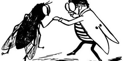 Животные 3436