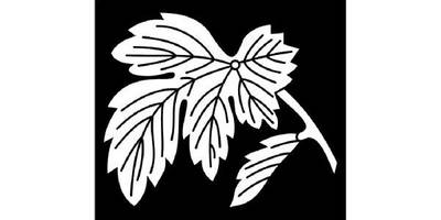 Японский узор 3223