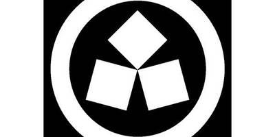 Японский узор 243