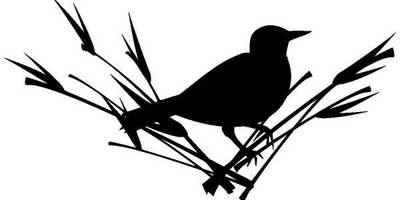 Животные 793