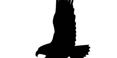 Животные 2733