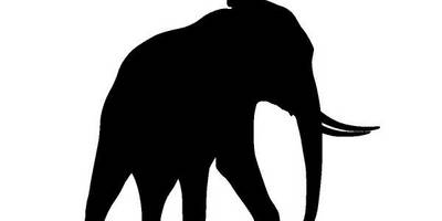 Животные 684