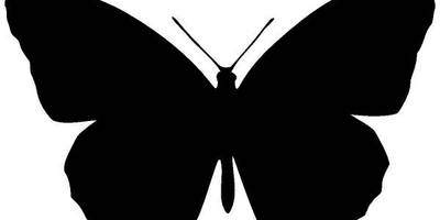 Животные 3950