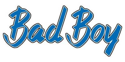 Виниловая наклейка на авто 38