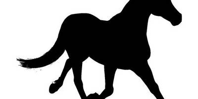 Животные 4009