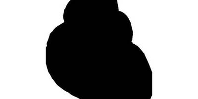 Животные 3771