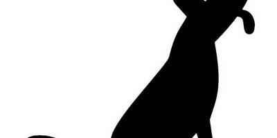 Животные 857