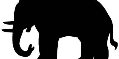 Животные 3681