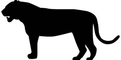 Животные 3102