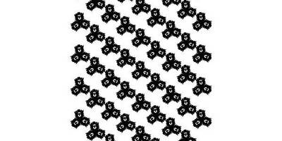 Бесшовный 351