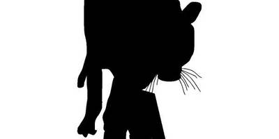 Животные 552