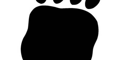 Животные 286