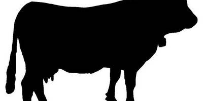 Животные 1164