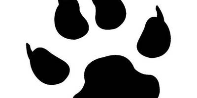 Животные 1191