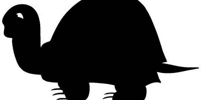 Животные 2369