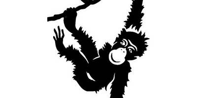 Животные 2353