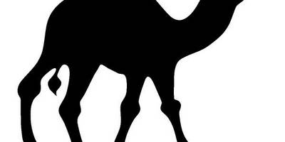 Животные 559