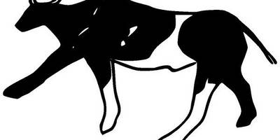 Животные 2602