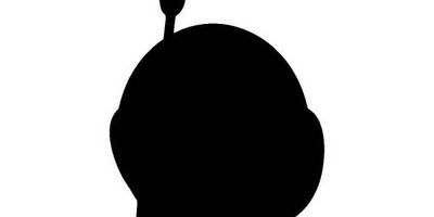 Животные 1528