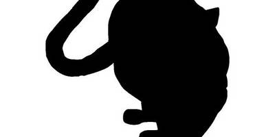 Животные 641