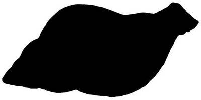 Животные 3768