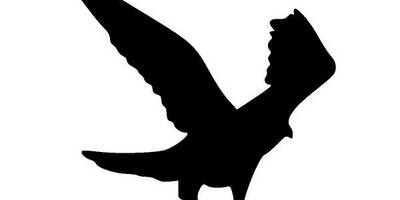 Животные 1576