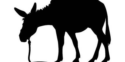 Животные 683