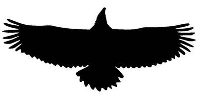 Животные 4315