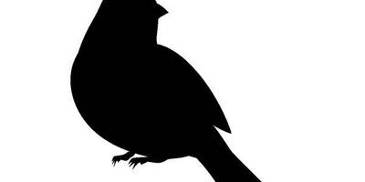 Животные 850