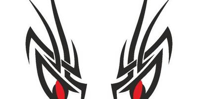 Виниловая наклейка на авто 351