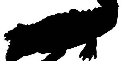 Животные 1461