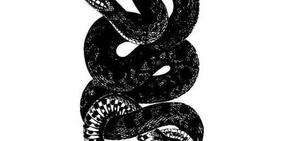 Животные 2869