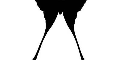 Животные 4175