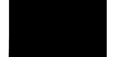 Животные 538