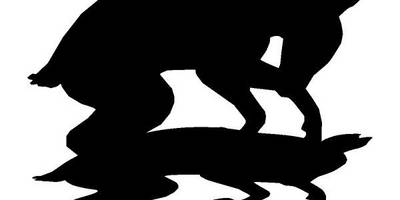 Животные 442