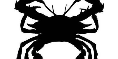 Животные 2755